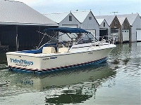 Lake Erie Boats For Sale Aluminum Fiber Glass Boats Available