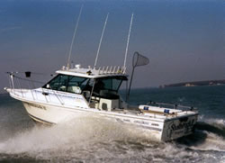 Shamrock Fishing Charters