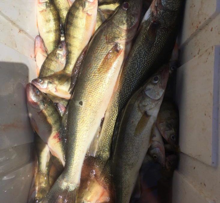 Fishing with Ben and Mike from Catawba State Park