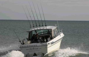 erie charters walleye fishing eerie dunkirk