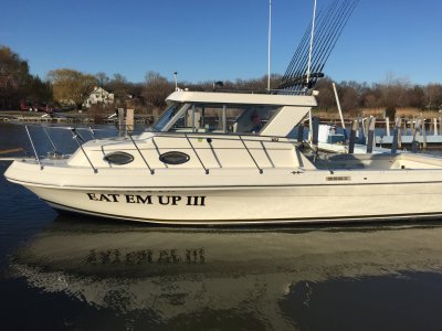 2002 Sportcraft 302 30 ft