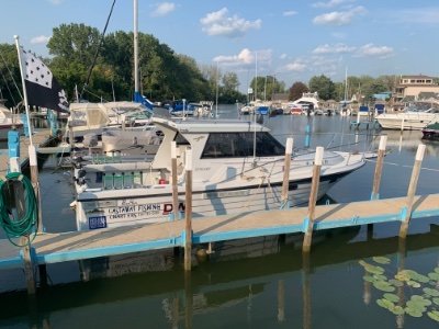 1990 Penn Yan 295 Prowler 30 ft