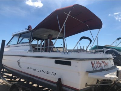 1990 Bayliner Trophy 24 ft | Lake Erie