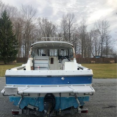 1988 Bayliner Trophy 25 ft | Lake Erie