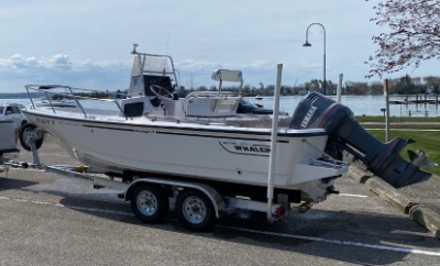 1996 Boston Whaler Outrage 19 19 ft