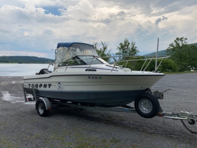 1992 Bayliner Trophy 2002 WA 20 ft | Lake Erie