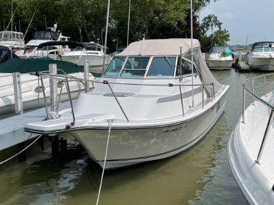 1988 Aquasport 281 Coho 28 ft | Lake Erie