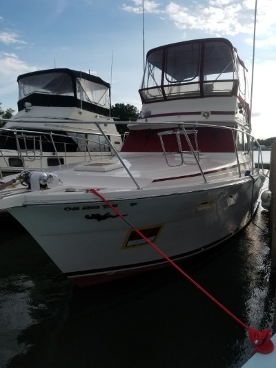 1980 Viking Sedan Flybridge 35 ft