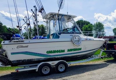 1996 Seaswirl Striper 2150 21 ft