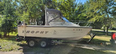 1994 Trophy Bayliner 20 ft