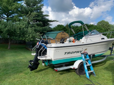 2002 Bayliner Trophy pro 21 ft