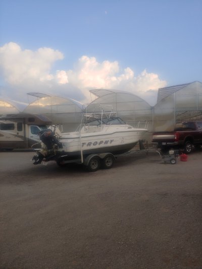 1992 Bayliner Trophy 20 ft