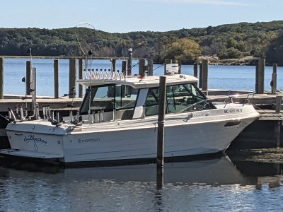 1996 Thompson 240HT 24 ft | Lake Erie