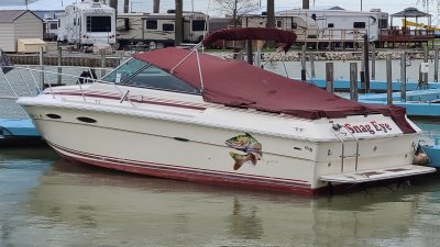 1985 Sea Ray Amberjack255 25 ft | Gasoline