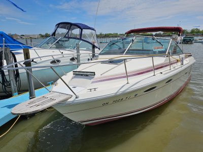 1985 Sea Ray Amberjack255 25 ft