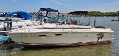 1985 Sea Ray Amberjack255 25 ft | Lake Erie