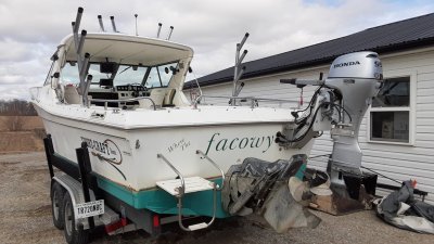 1998 Sportcraft 252 Hardtop 25 ft | Lake Erie