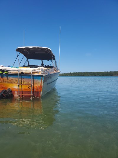 1975 Starcraft Islander 22 ft | Lake Erie