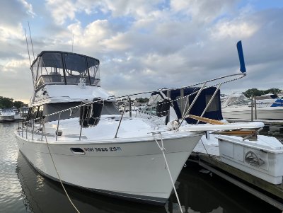 1990 Bayliner 3288 32 ft | Lake Erie