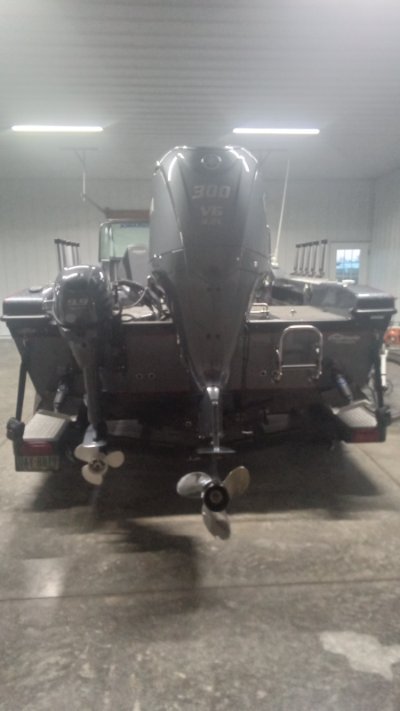 2022 Warrior V208-DC 20 ft | Gasoline