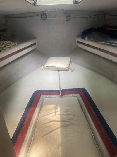 1991 Penn Yan 245 Contender Hardtop 24 ft | Erie, PA at this time