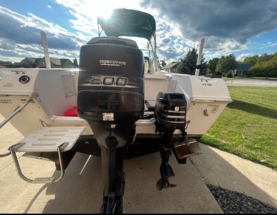 1998 Wellcraft WA 23 ft | Walleye, Bass, Trout, Salmon Fishing Boat
