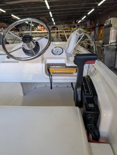 2009 Boston Whaler 130 Super Sport 13 ft | Lake Erie
