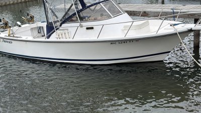 1992 Shamrock Warrior 24 ft