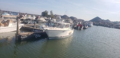 1981 Trojan Sport sedan 29 ft | Lake Erie