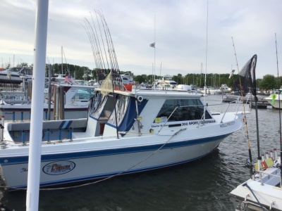 1987 Cherokee 300 sport fisherman 30 ft | Gasoline
