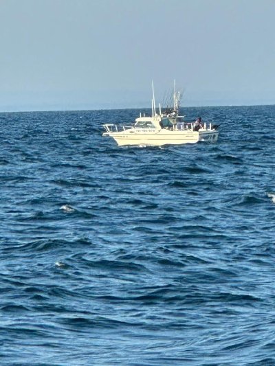 1994 Sportcraft 250 Fishmaster 25 ft | Gasoline