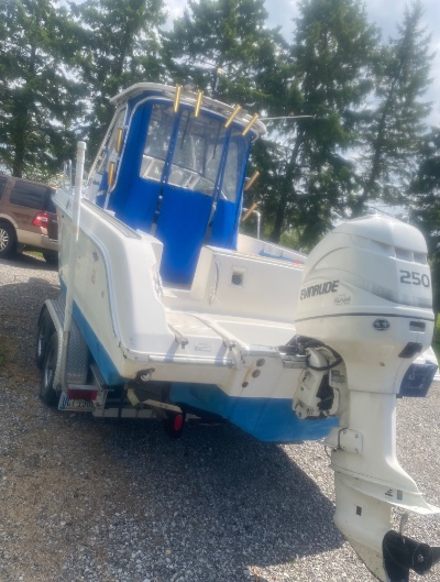 1997 Wellcraft 240 Coastal Hardtop 25 ft | Gasoline