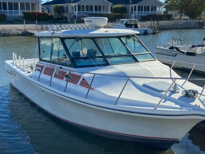1992 Baha Cruisers 299 Fisherman 6 ft | Lake Erie