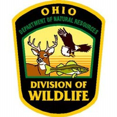 Weekly Ohio Division of Fisheries Lake Erie Fishing Report