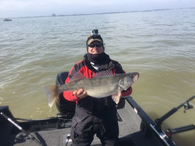 11 Pound 30 inch Walleye Caught in front of Edison Plant