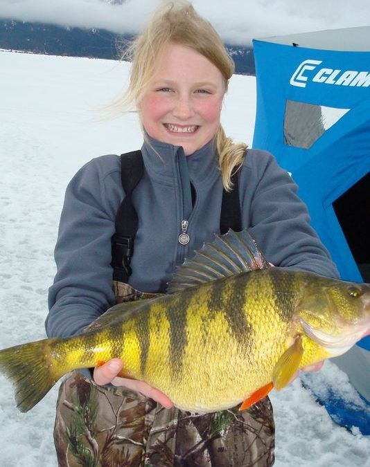 World Record Perch